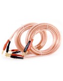 Wilson Kolonėlės kabelis 2x4mm (3m) - Bananinės Jungtys SPK CABLE