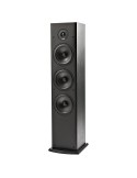 Polk Audio T50 Grindinė kolonėlė