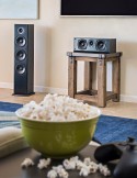 Polk Audio T50 Grindinė kolonėlė