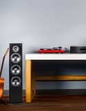 Polk Audio T50 Grindinė kolonėlė