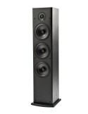 Polk Audio T50 Grindinė kolonėlė