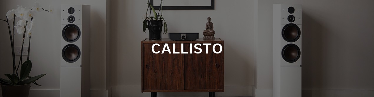 CALLISTO