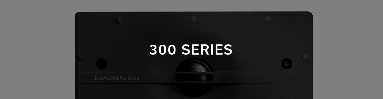 300 SERIES