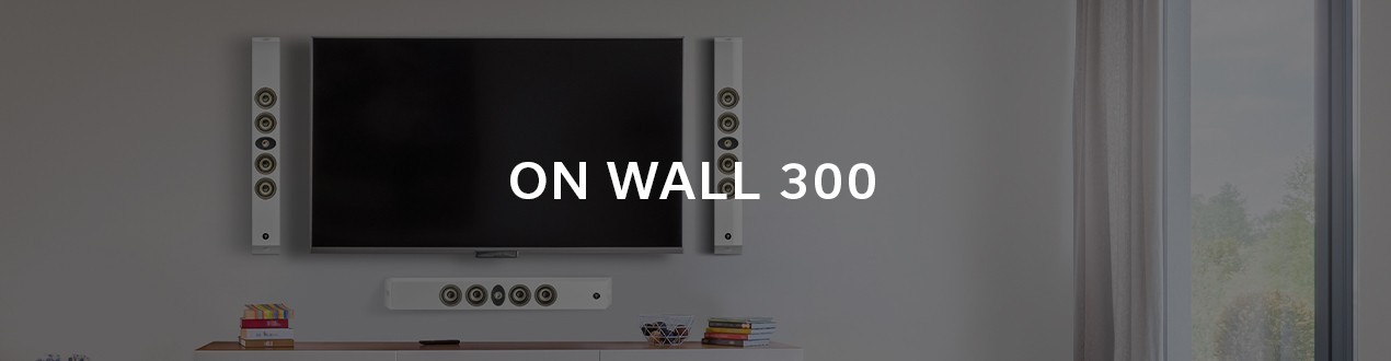 ON WALL 300